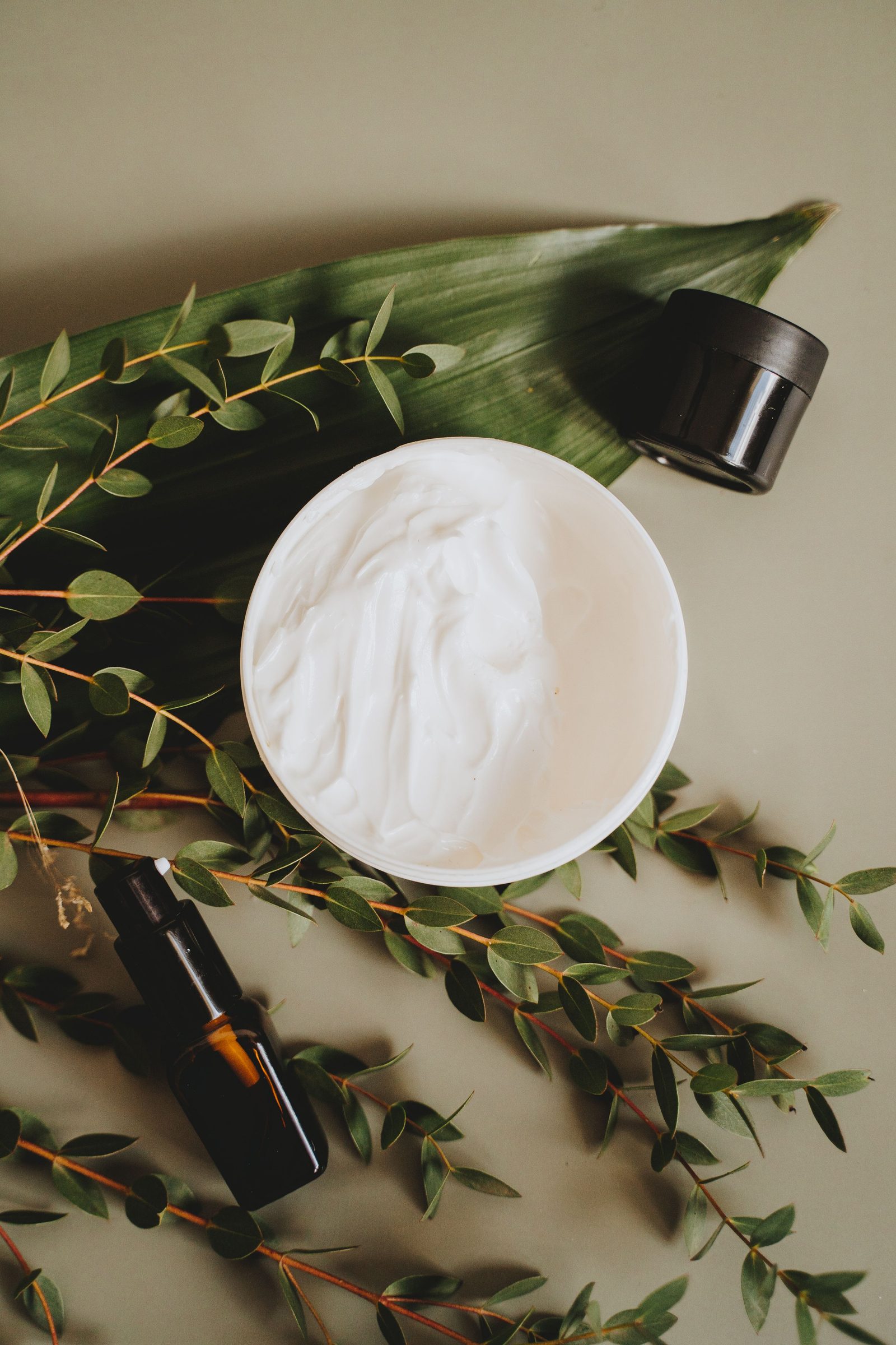 Cream and botanical leaves arranged for natural skincare